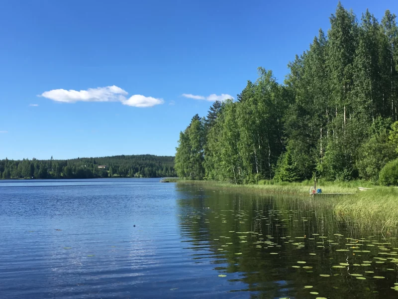 Finnland Sommer See nahe Äänekoski