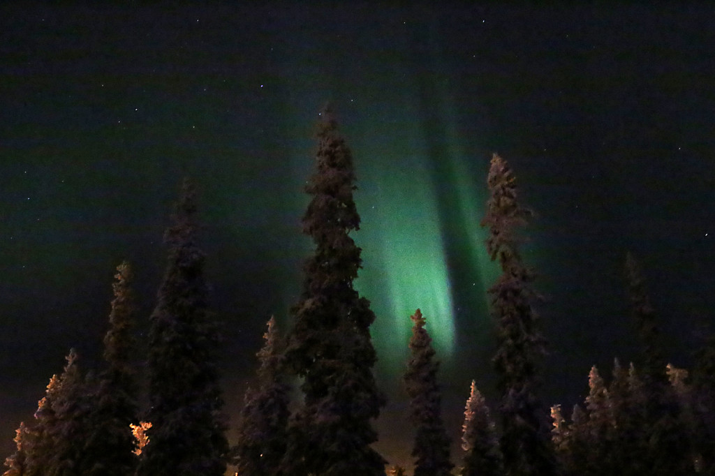 Finnland: Nordlichter aurora-borealis im Wald