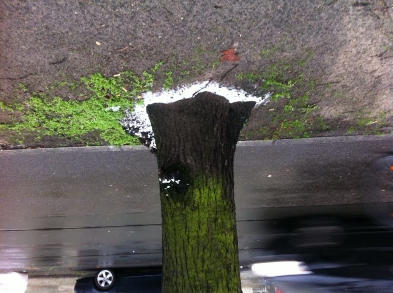 Und noch ein bisschen Schnee Berlin-Winter: wenig Schnee