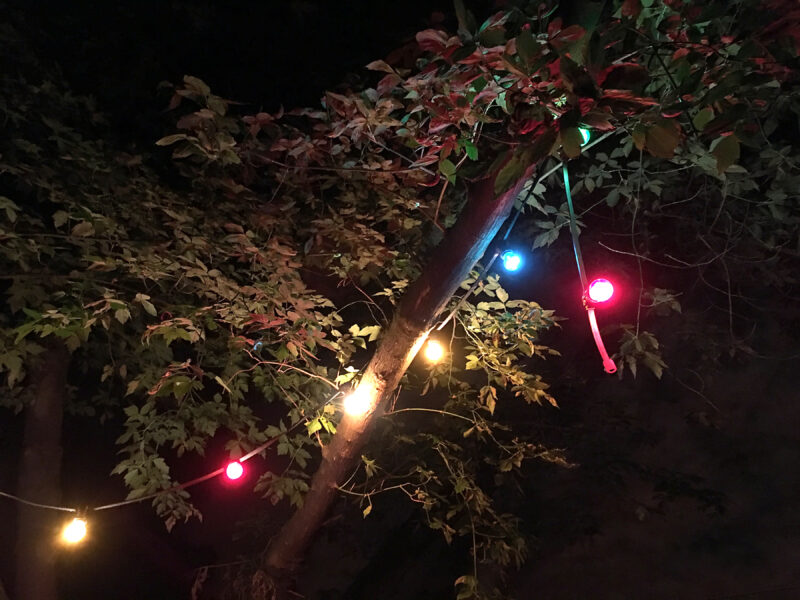 Gartenparty - Lichterkette