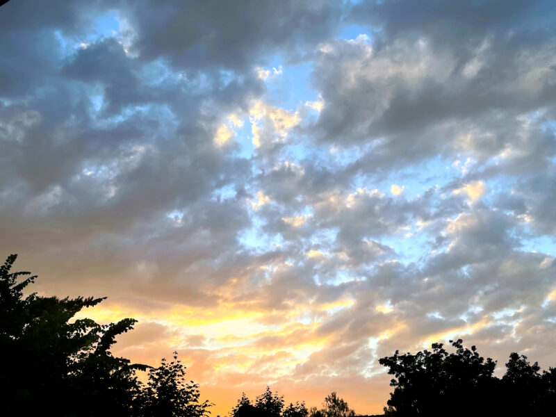 Sonnenuntergang, Wolken, Silhouetten von Baumspitzen