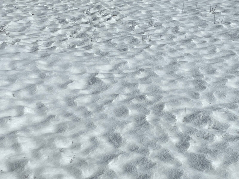 Schnee Dünen Landschaft