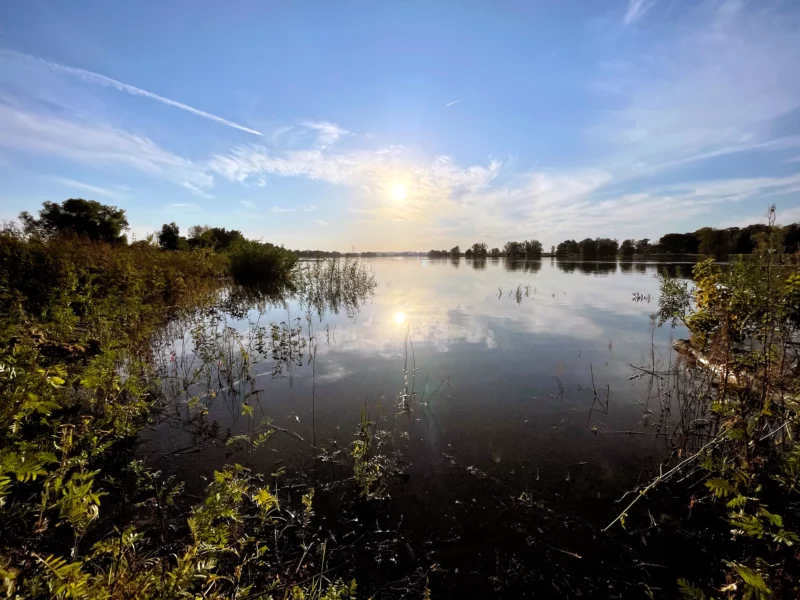 Elbe, Hochwasser, Sonnenuntergang